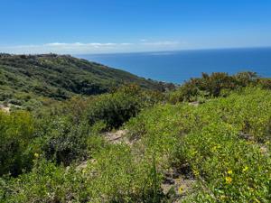 Badlands Park Trail Laguna Niguel 2